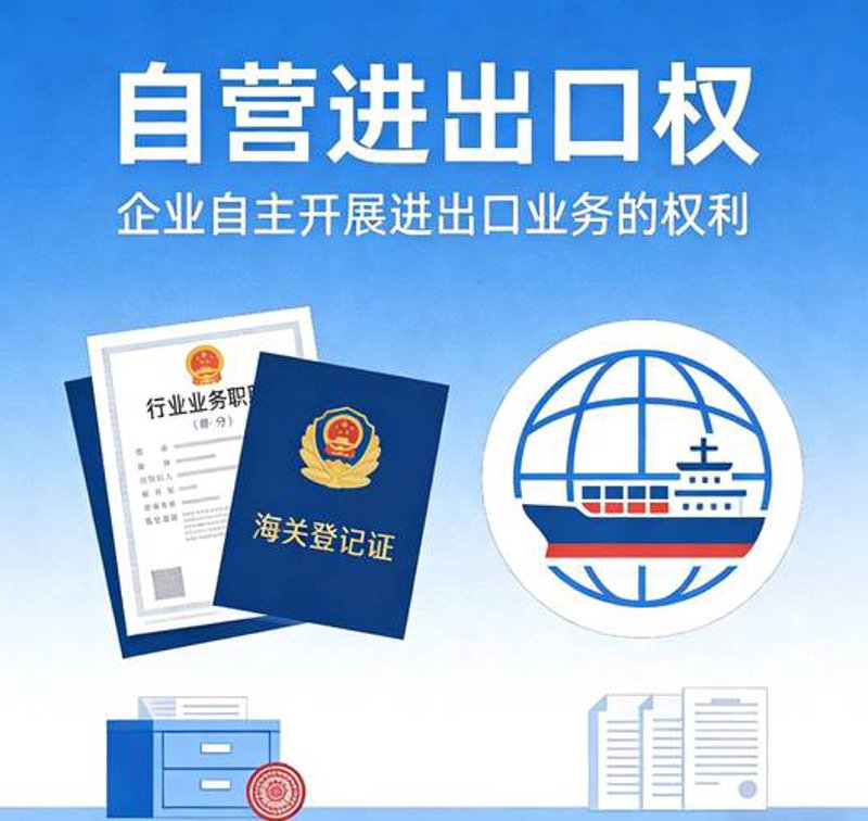 国际贸易代理:您的全球化伙伴